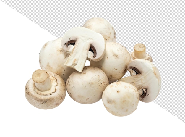 PSD mushroom png