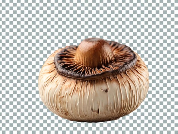 PSD mushrooms on transparent background