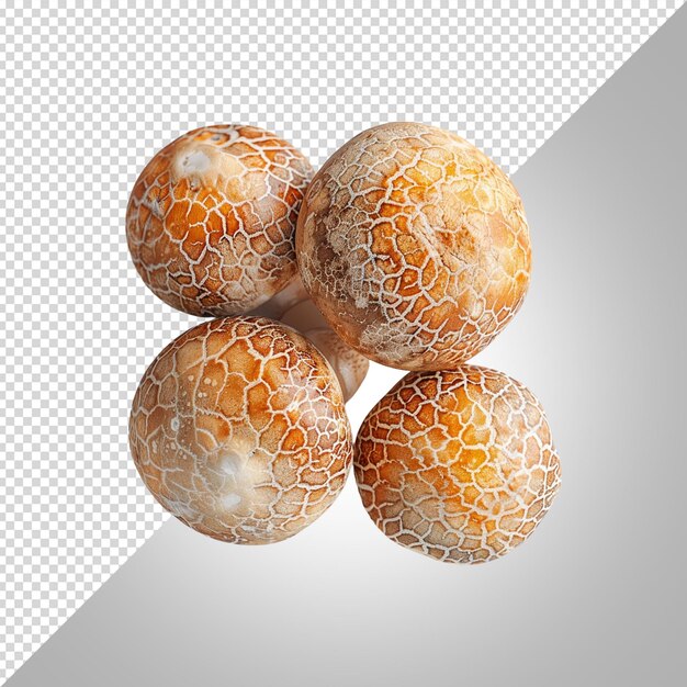 PSD mushrooms on a white background