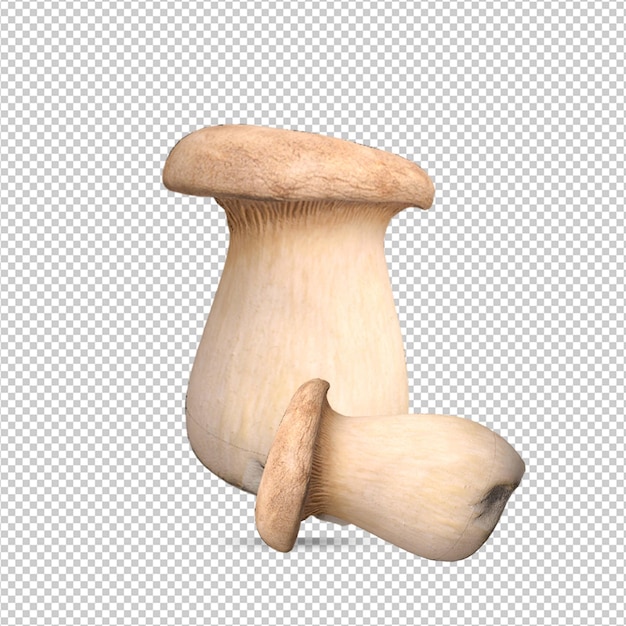 PSD mushrooms