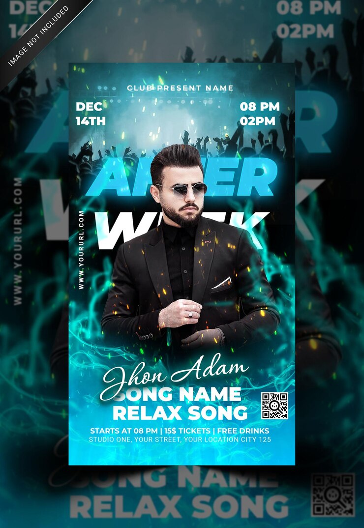 Music Festival Night Party story social media banner