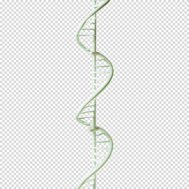 PSD giornata nazionale del dna giornata del dna giorno dei medici giornata mondiale della salute giornata delle infermiere giornata della medicina 3d medico 3d