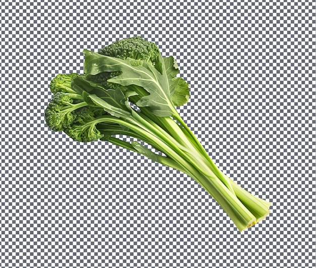 투명 한 배경에 고립 된 자연스럽고 신선한 Broccolini Baby