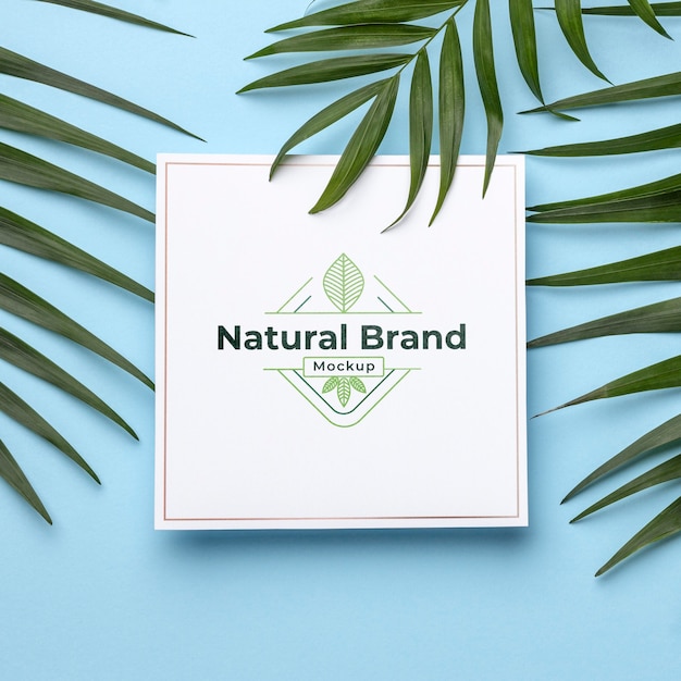 Natural brand mock-up with leaves