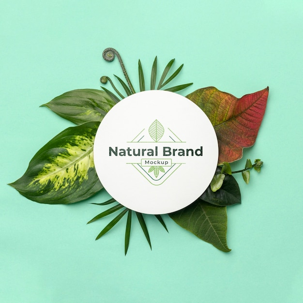 PSD mock-up di marca naturale con foglie