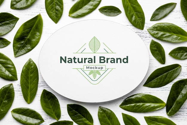 PSD natural brand mock-up with leaves