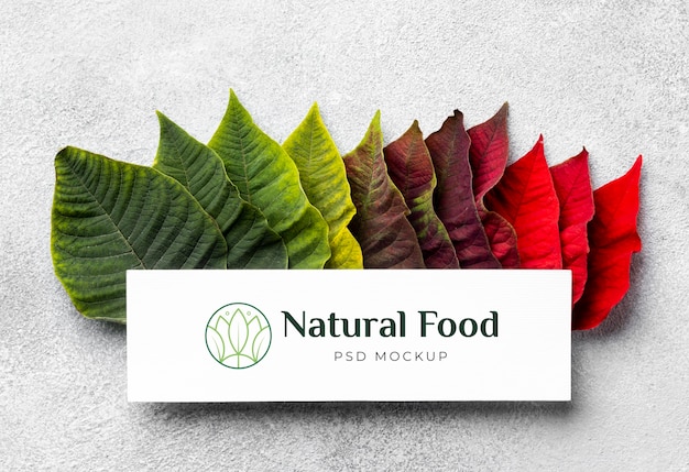 PSD mock-up di cibo naturale con foglie