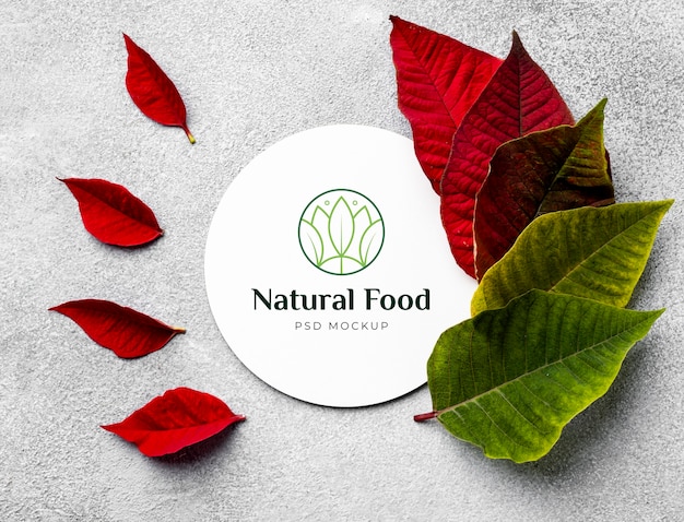 Natural food mock-up with leaves