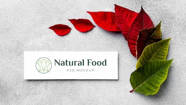 PSD mock-up di cibo naturale con foglie