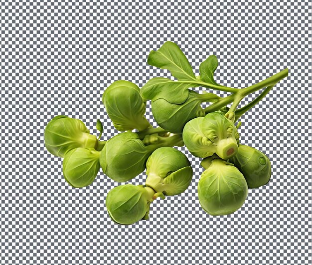 PSD natural and fresh brussels sprouts isolated on transparent background