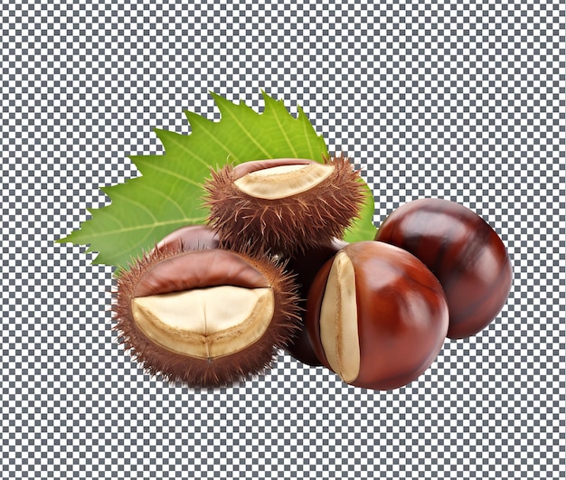 PSD natural and fresh chestnuts isolated on transparent background