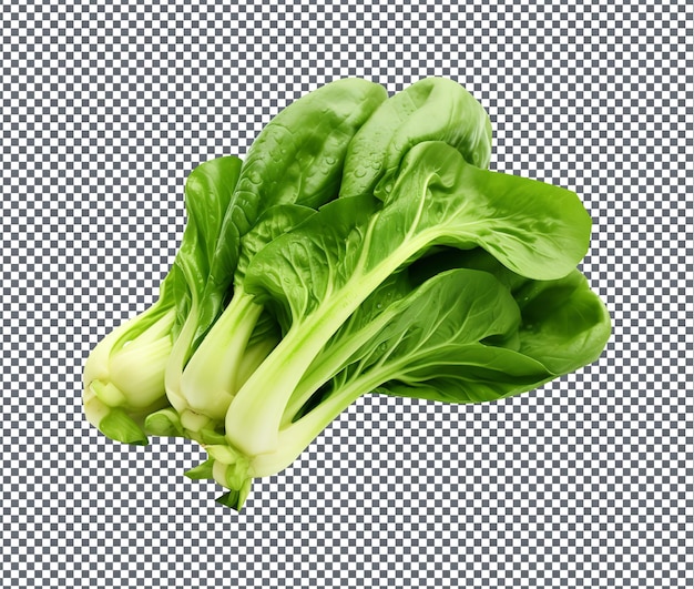 PSD natural and fresh chinese cabbage isolated on transparent background