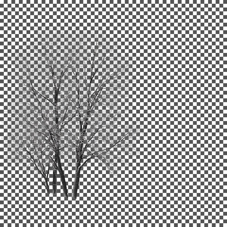PSD natural and fresh drawing winter trees isolated on transparent background