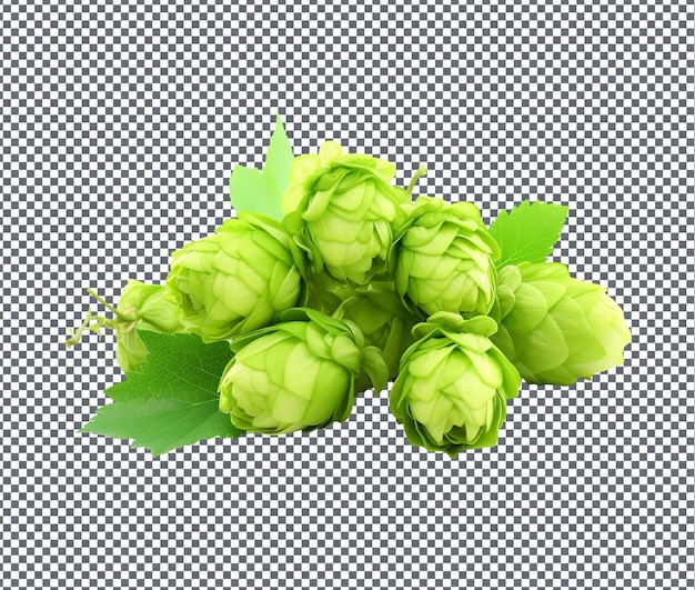 PSD natural and fresh green hops isolated on transparent background