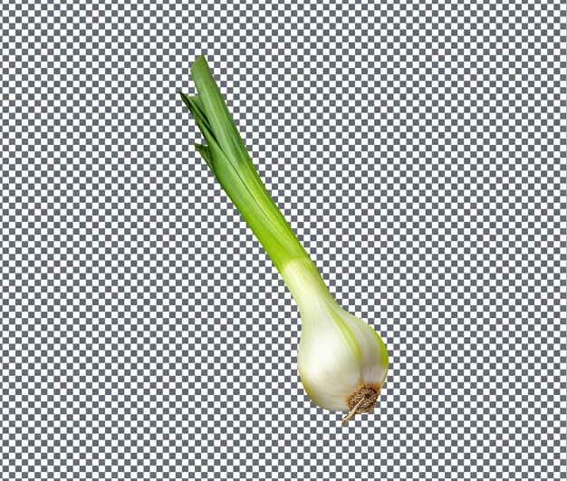 PSD natural and fresh leeks isolated on transparent background