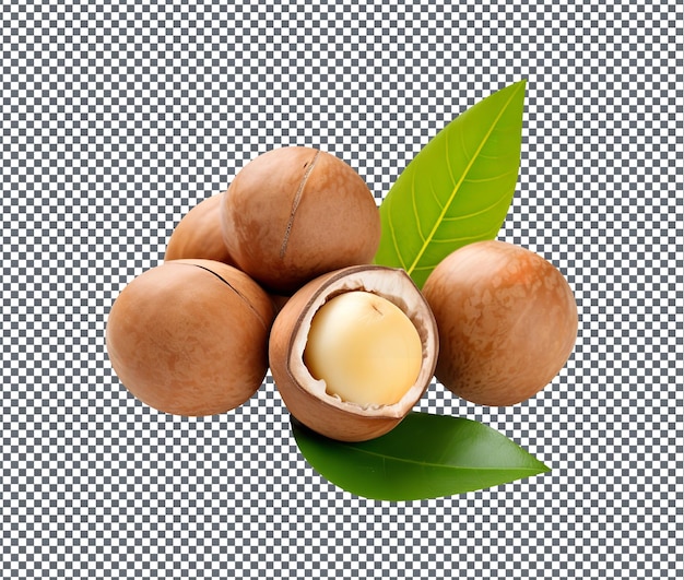 Noci di macadamia naturali e fresche isolate su sfondo trasparente