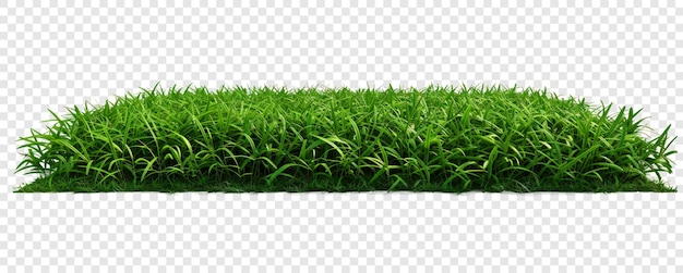 PSD natural green grass cutout on transparent background