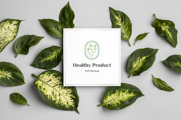 PSD natural product mock-up with leaves