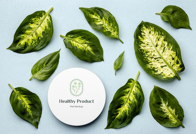 Natural product mock-up with leaves