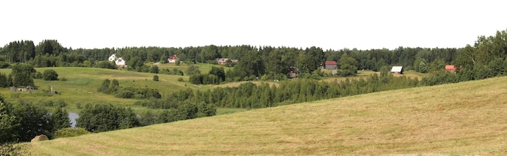 PSD natural tree and park landscapes with open meadows and rural views