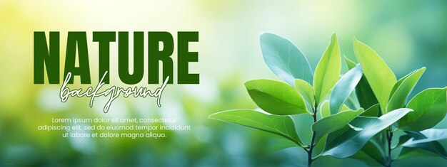 PSD nature background or banner template with green leaf in garden at summer