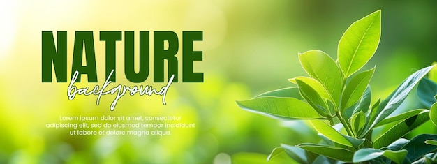 PSD nature background or banner template with green leaf in garden at summer