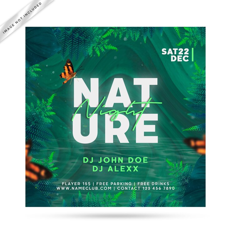 PSD nature flyer party