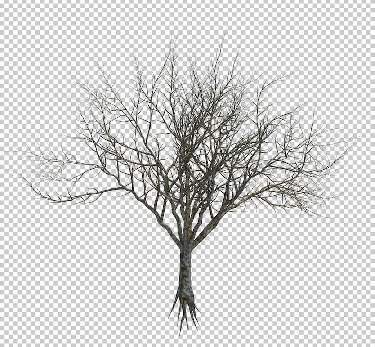 PSD nature object tree isolated on white