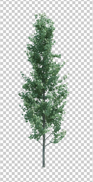 Nature object tree isolated