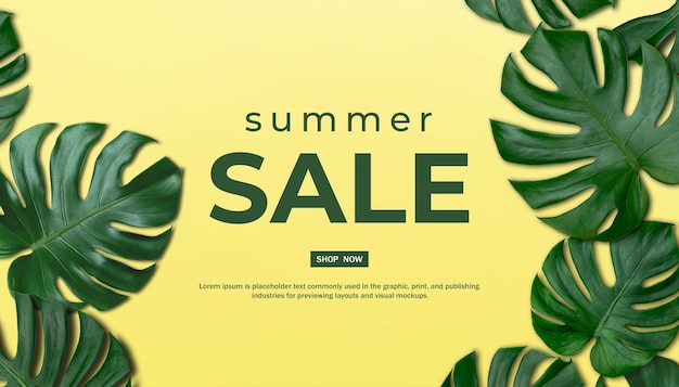 PSD nature summer sale background of  monstera leaves