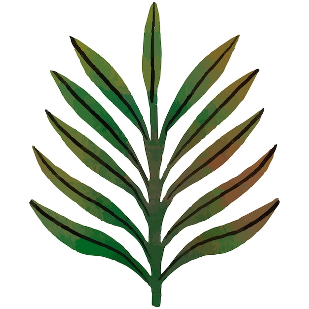 自然植被和植物元素