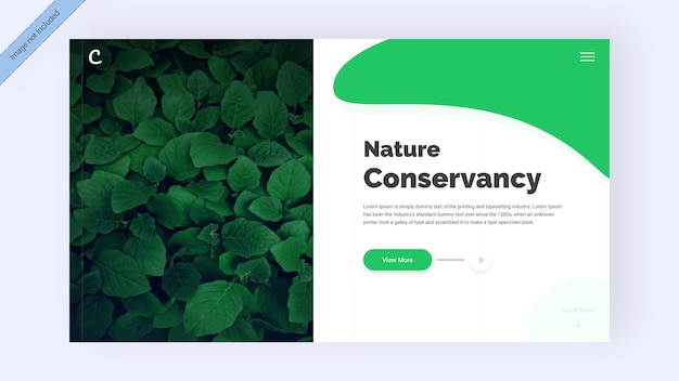 PSD intestazione del sito web di natura