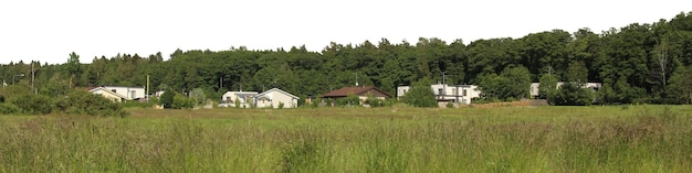 Natuurlijke boom- en parklandschappen met open weiden en uitzichten op het platteland