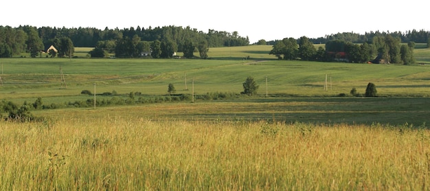 Natuurlijke boom- en parklandschappen met open weiden en uitzichten op het platteland
