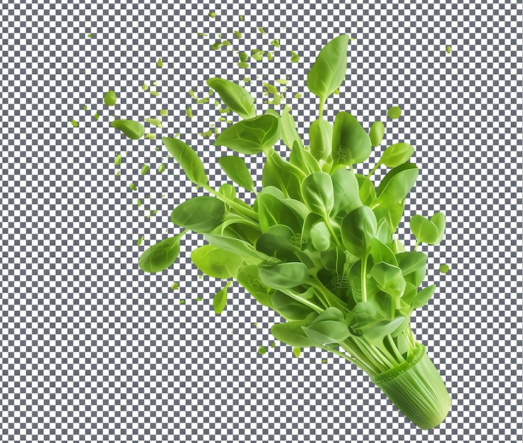 PSD natuurlijke en verse wilde arugula diplotaxis geïsoleerd op transparante achtergrond