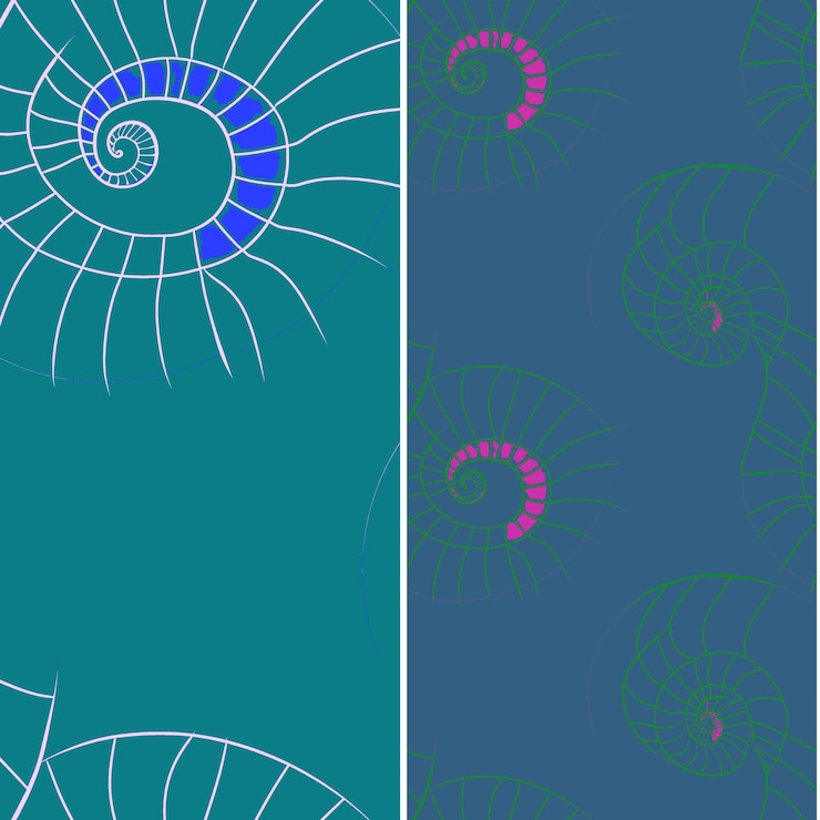 PSD nautilus with spiral silhouette geometric minimal graphic de nature pattern vector designs