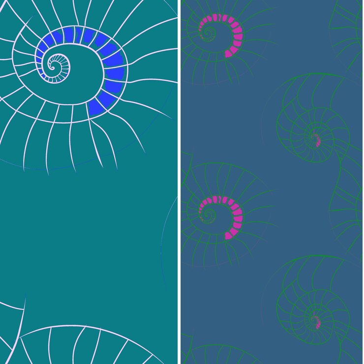 PSD nautilus with spiral silhouette geometric minimal graphic de nature pattern vector designs