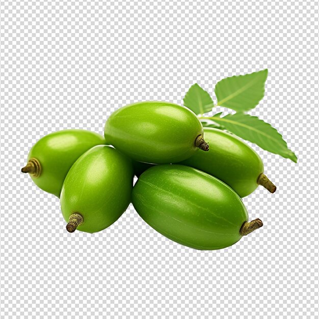 PSD neem fruit isolated on transparent background png