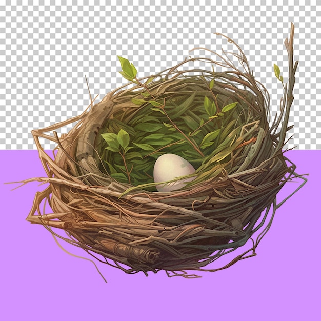 PSD a nest isolated object transparent background