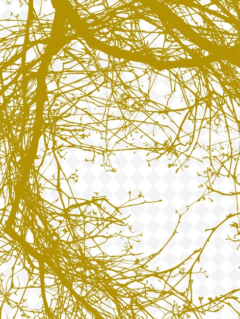 PSD nest woven twigs texture met verweven takken en intric png creatieve overlay achtergronddecoratie