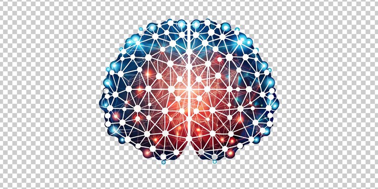 PSD network diagram illustrating brain connectivity in a digital design cut out transparent