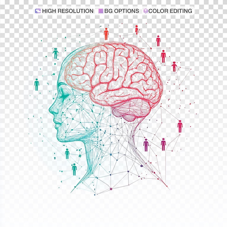 PSD neural pathways a journey of change and growth