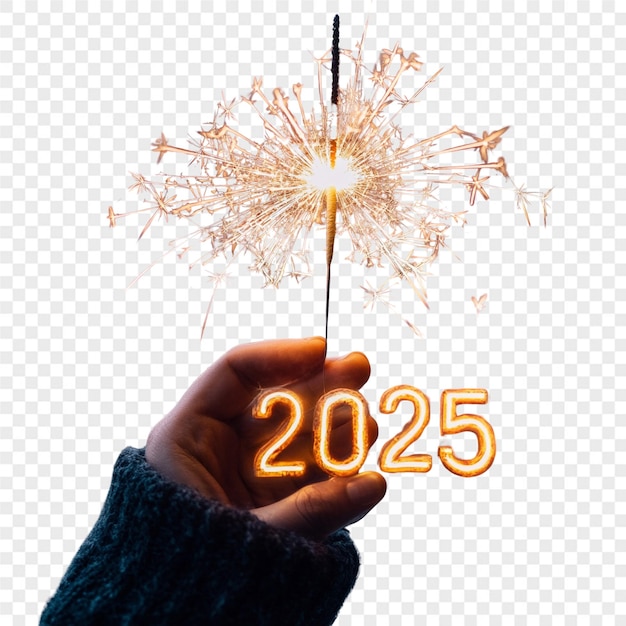 新年 2025 年