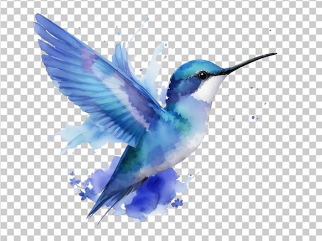 PSD niebieski kolor wody latający kolibri