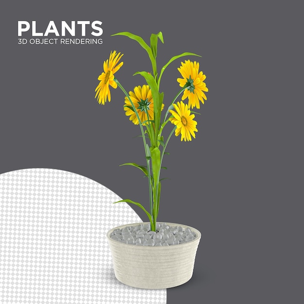 Nieuwe plant kamerplanten 3d-rendering