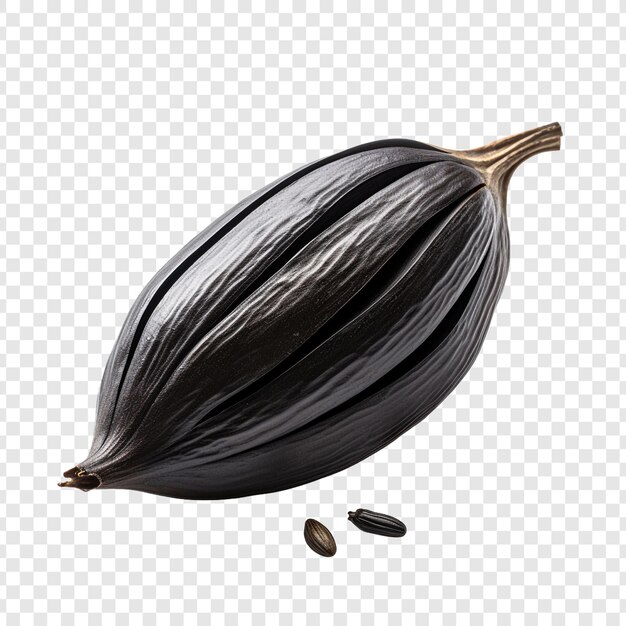 PSD nigella seed isolated on transparent background