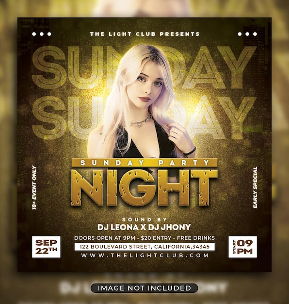 Night club party flyer social media post and web banner