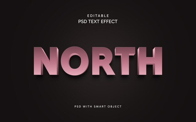 PSD north text effect