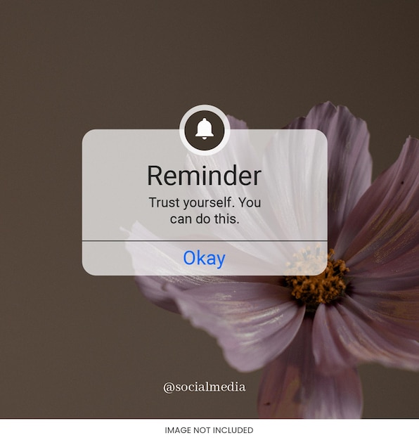 PSD notification reminder instagram post square template psd design social media layout reminder