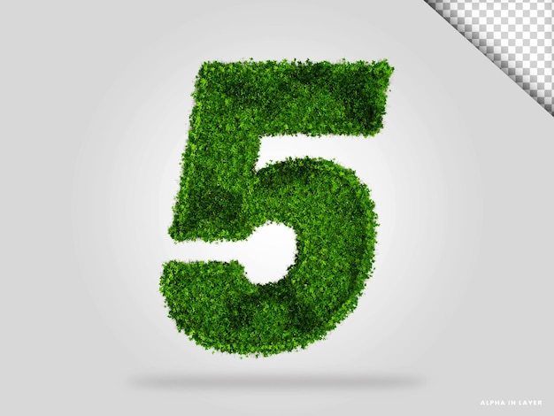 Number 5 boxwood style 3d render isolated